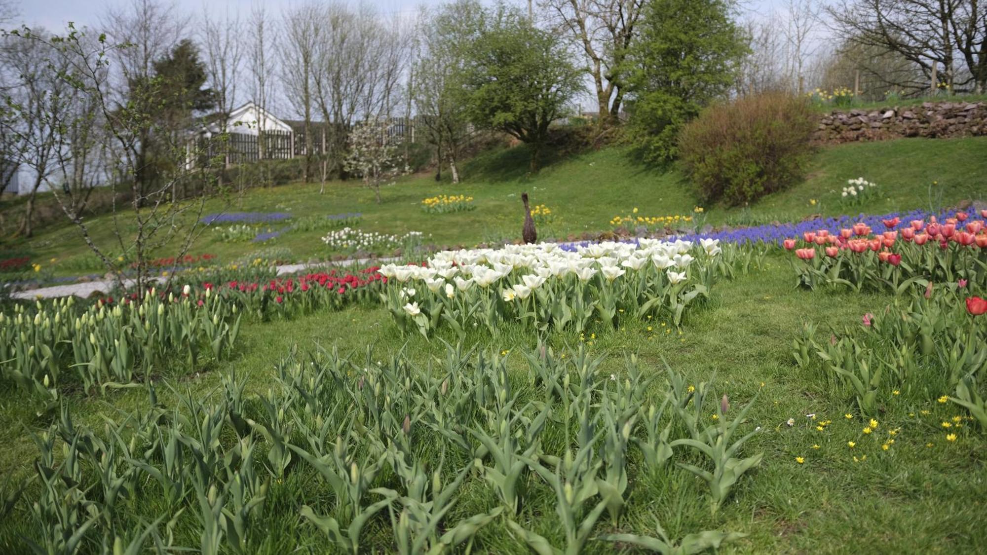 Rowrah Hall Arlecdon ภายนอก รูปภาพ