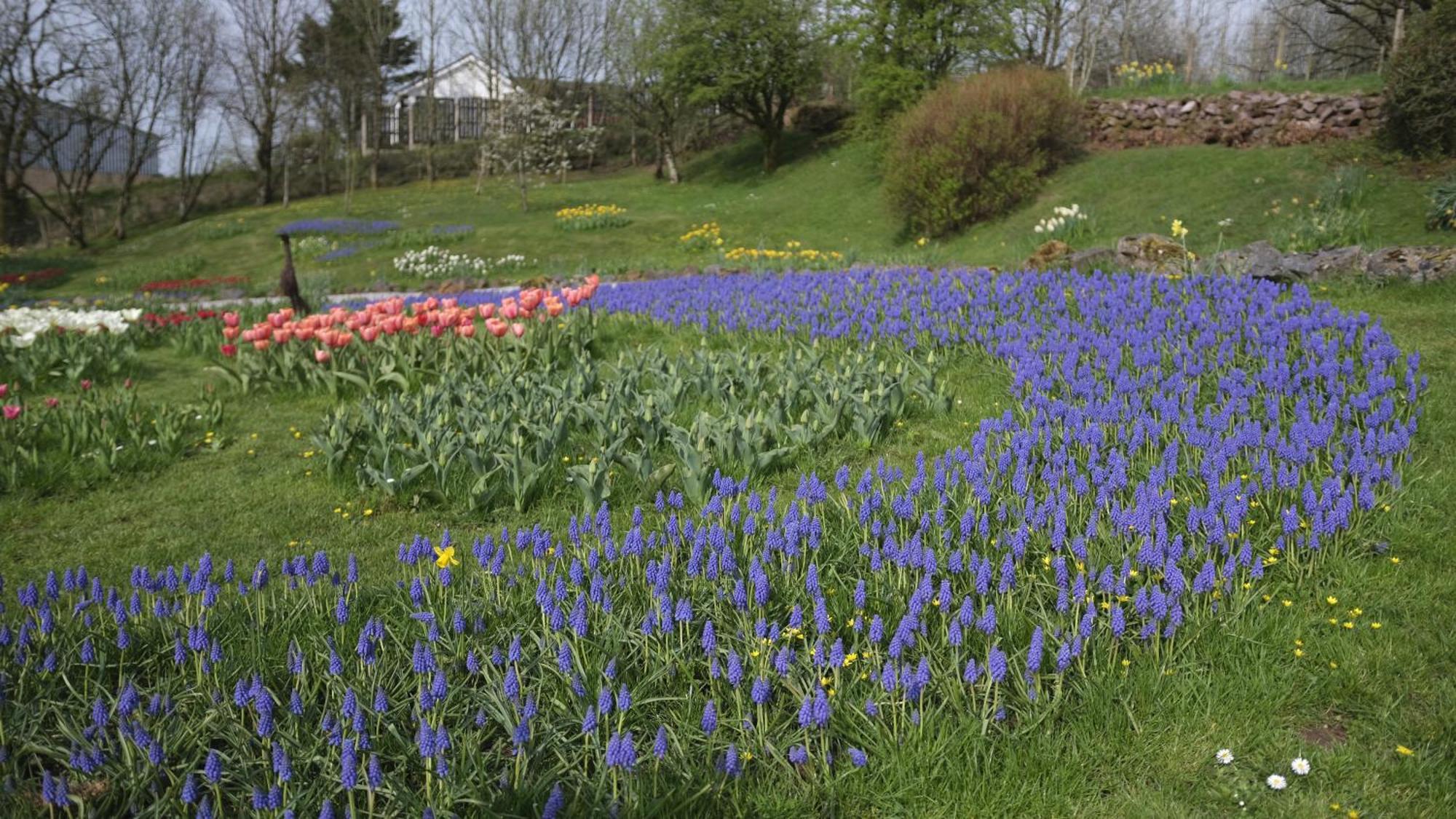 Rowrah Hall Arlecdon ภายนอก รูปภาพ